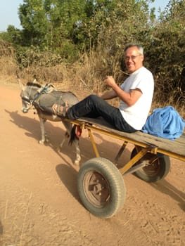 My donkey and cart